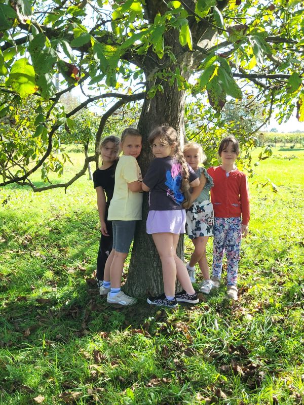 „Przytul się do drzewa”